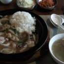 파챠이 티스토리