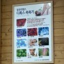 힐링엔젤스 | 광주 족욕 자기장 부스 ‘힐링엔젤스’ 에서 독소 뺀 후기 내돈내산
