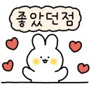 리리플라워카페 이미지