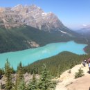 밀키블루 이미지