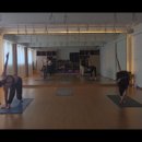 요가(오전) 이미지