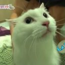 우리숲주