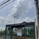 바람난고양이 | 감산사 템플스테이 체험형 밥 추천 내돈내산 후기 / 뚜벅이 혼자 여행 / 강아지 고양이 많은 비구니사찰