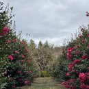 힐링정원 이미지