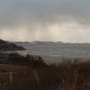 거북이여인숙 이미지