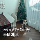 박사펜션 | 가평 애견동반 독채 펜션 스테이무 가성비 최고 내돈내산