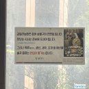 갈릴리 생선구이 이미지