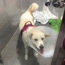 헬로동물병원 이미지