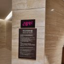 아쿠아필드 고양 이미지