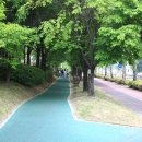 오학 걷고싶은거리 이미지