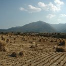 옥천(부산) 이미지