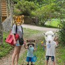 나는숲이다 이미지