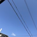 죽도마트 이미지