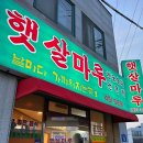 햇살마루청둥오리 이미지