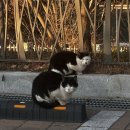 한민동물병원 | '1월생'의 새해 스타트 두둥!