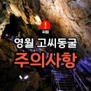고씨동굴 광장 화장실 | 영월 고씨동굴 필수 체크리스트 아이랑 어르신 방문 전 주의사항까지