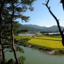 덕산저수지 이미지