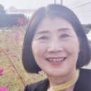 [마을배움터] 라인댄스 이미지