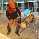 산림기능사반 이미지