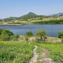 원주굽이길 원7코스 반계리은행나무길 이미지