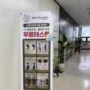 밸런스바디센터 | 발목 통증 반복된다면 범계 체형교정 센터 바디밸런스에서 체형 분석받은 후기