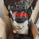 행복한 멍냥이 이미지