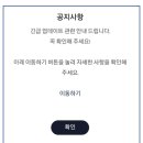 파파코