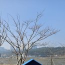 대부도 관광안내소 이미지