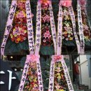 란센스