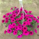 현수농장 이미지