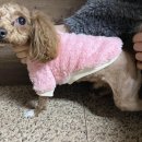 청조동물병원 이미지