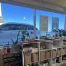 부산광역시 영도구 와치로 | 부산 영도 파스타 맛집 ㅣ 영도 오션뷰 맛집 에르마나, 분위기 좋은 이탈리아 음식 전문점 후기