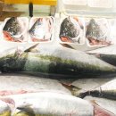 대안수산 이미지