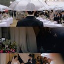 이른봄의 서정 | 비오는 날의 기적 빌라드파티앤 본식스냅 후기 by 헤이지야