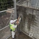 용산-129 이미지