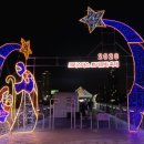 2020 태화강 빛 축제 이미지