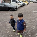 그림책 놀이터 Ⅰ | 안산 상록어린이도서관 그림책놀이터｜5번 방문한 솔직 후기