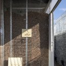 더머물다 이미지