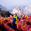 중국 화산, 소화산, 화청지, 병마용, 박물관, 등 이미지