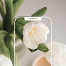 더스무스백석대점