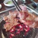 천지정육점