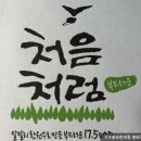 세목한의원 | [코스트코후기] 외로운 불금엔 혼술 어떠세요? &amp; 처음처럼 어깨동무체 스토리