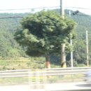 고구려횟집 이미지