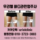 바디라인업 이미지