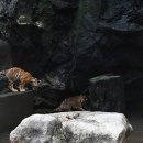 우리강산 이미지