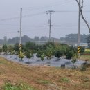 가실농장 이미지