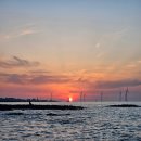 애월에담다 | 제주/애월 말고기 전문점 맛집, '고우니, 제주를 담다' 내돈내산 방문 후기