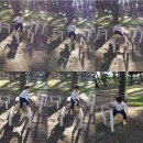 고래등어린이집 이미지