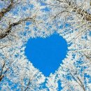 나포면사무소 이미지