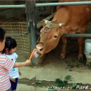 한터농장 이미지